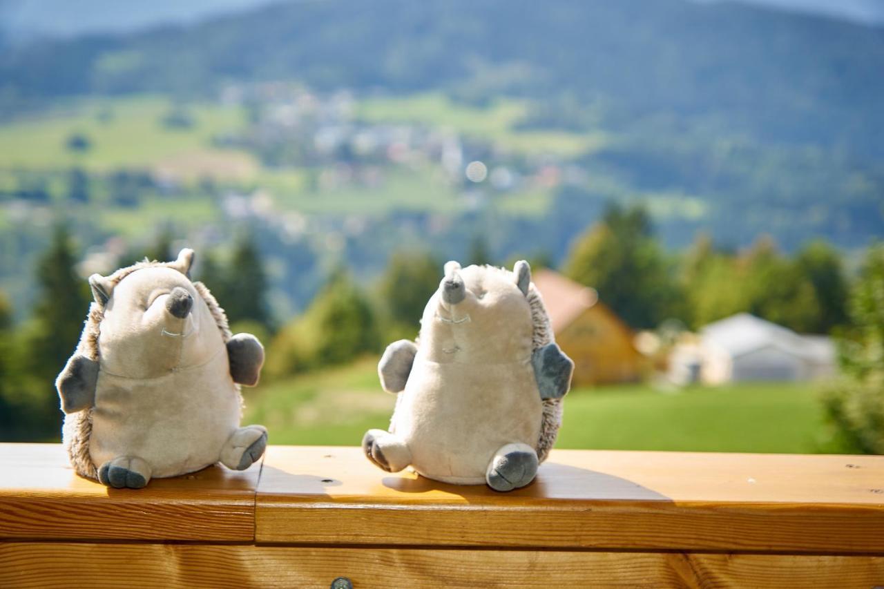 Dopplerstubn Appartement Agsdorf Buitenkant foto